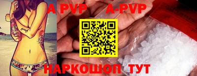 стаф Гудермес