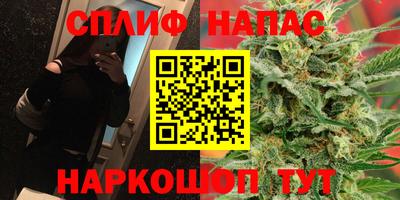 стаф Гудермес