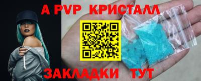 стаф Гудермес